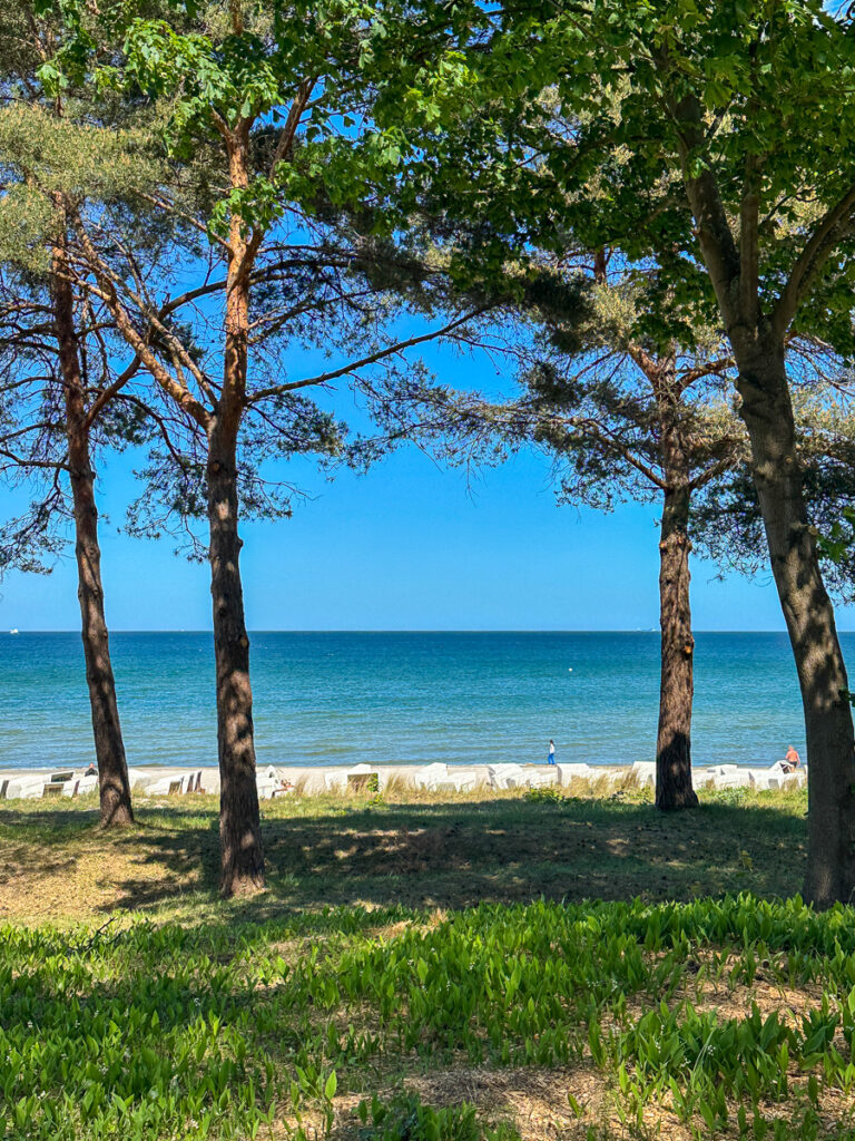 Binz Rügen
